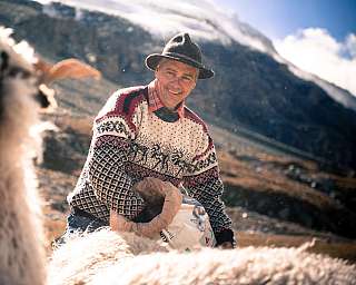 Paul Julen in a hat is sitting among sheep in a mountain landscape.
