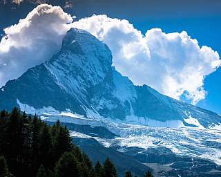 Snow-covered mountain with clouds and dark fir trees in the foreground.