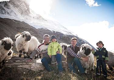 Family sits with sheep outdoors in front of snow-covered mountain peaks.