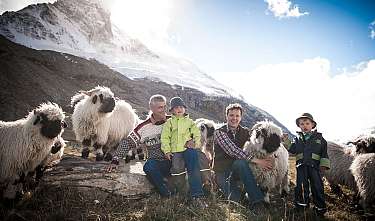 Two men and two children are sitting among several sheep in front of a snowy mountain backdrop.