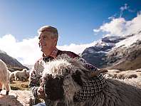 Un homme tient un mouton laineux devant un décor de montagne et un ciel bleu.