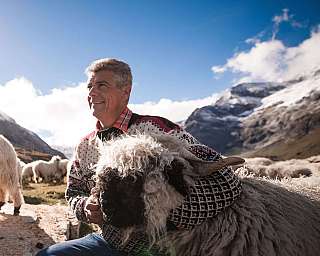 A man is holding a woolly sheep in an alpine landscape.