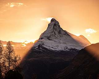 Snow-covered mountain peak against an orange sky with trees in the foreground.
