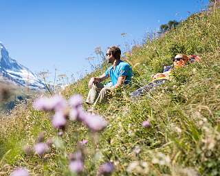 Blumenblüte Zermatt cr Pascal Gertschen Blumenblüte Zermatt cr Pascal Gertschen