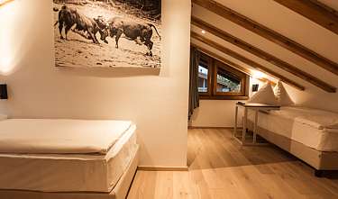 Alpine Roof Suite Alpine Roof Suite